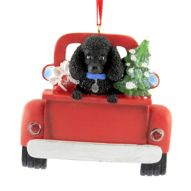 BLK POODLE