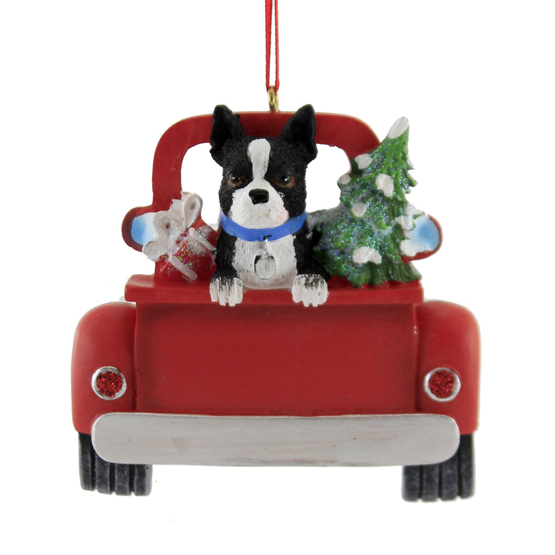 BOSTON TERRIER