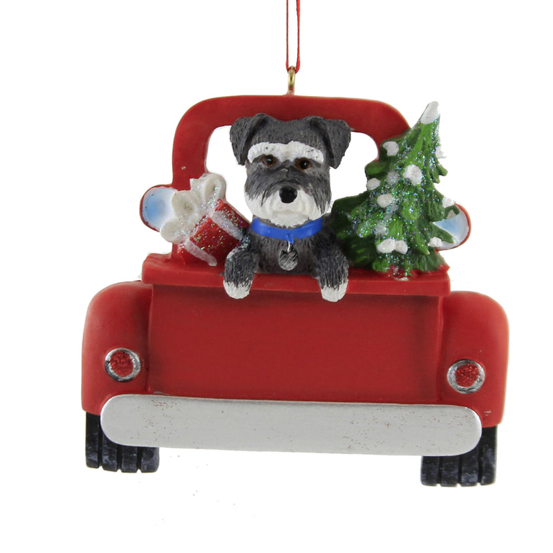 SCHNAUZER