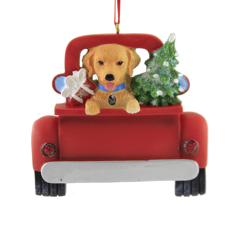 GOLDEN RETRIEVER