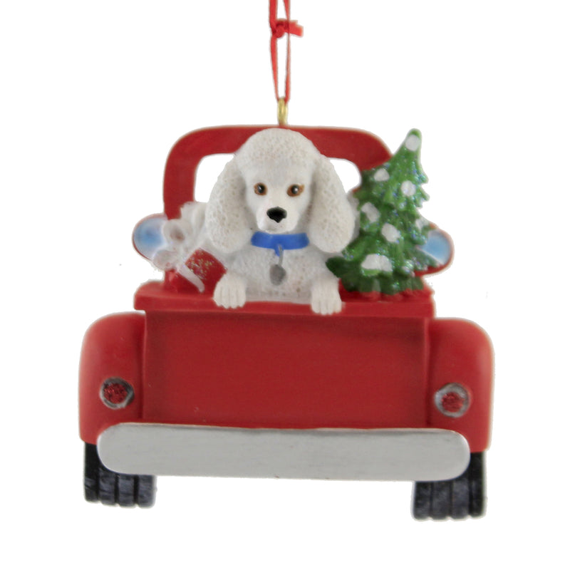 WHITE POODLE