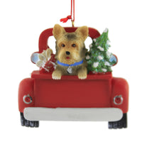 YORKIE