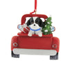 BLK SHIH TZU