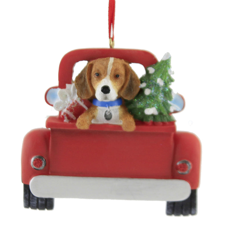 BEAGLE