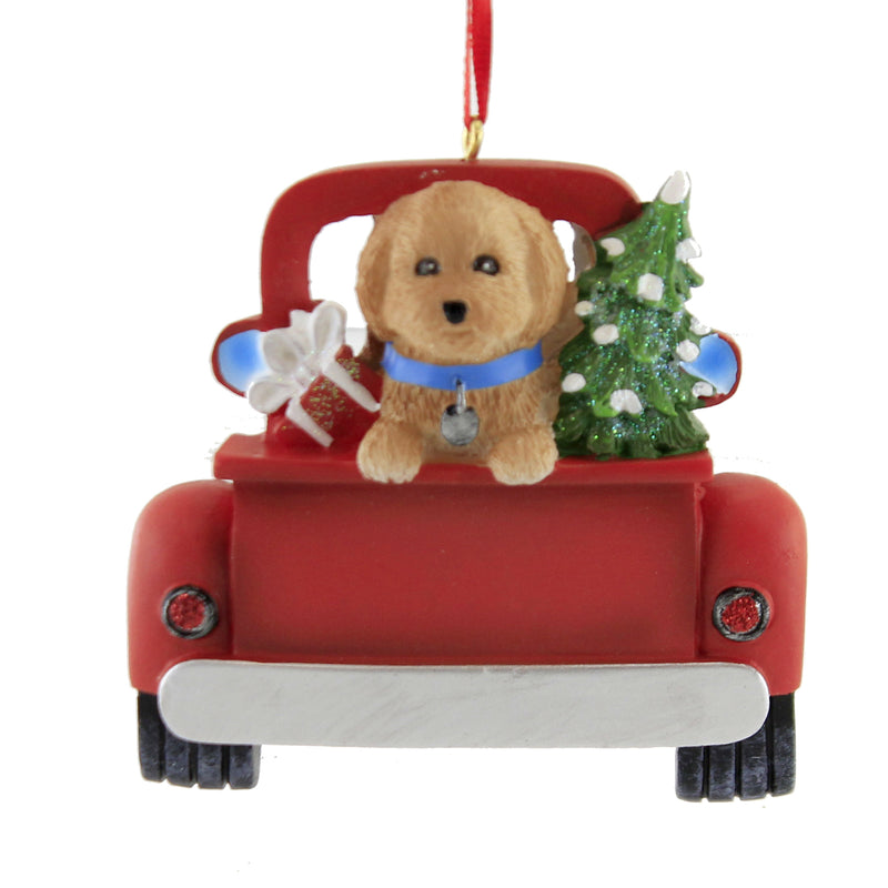 GOLDENDOODLE