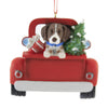 GERMAN POINTER