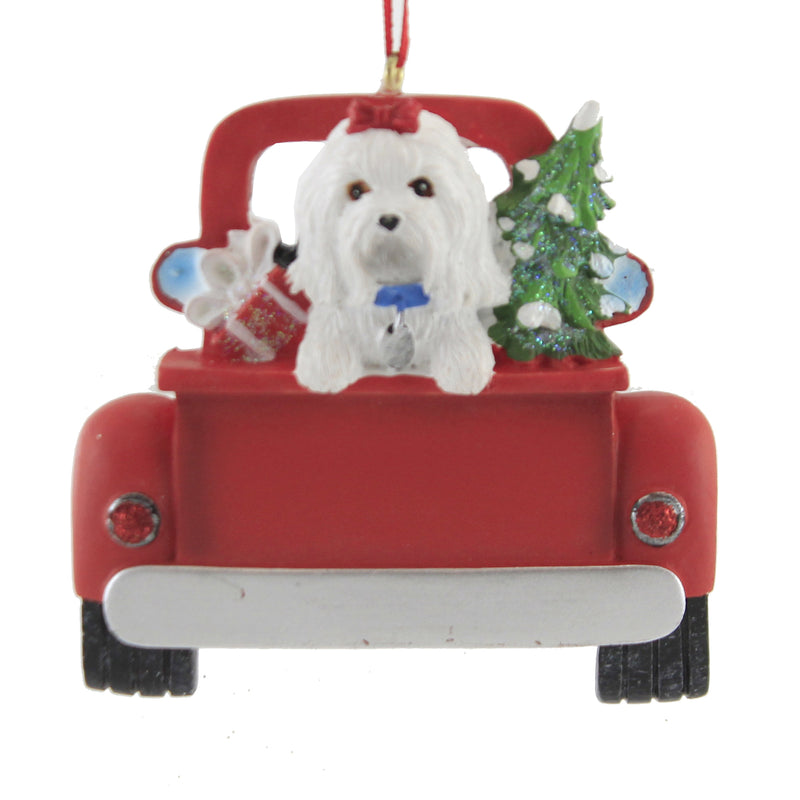MALTESE