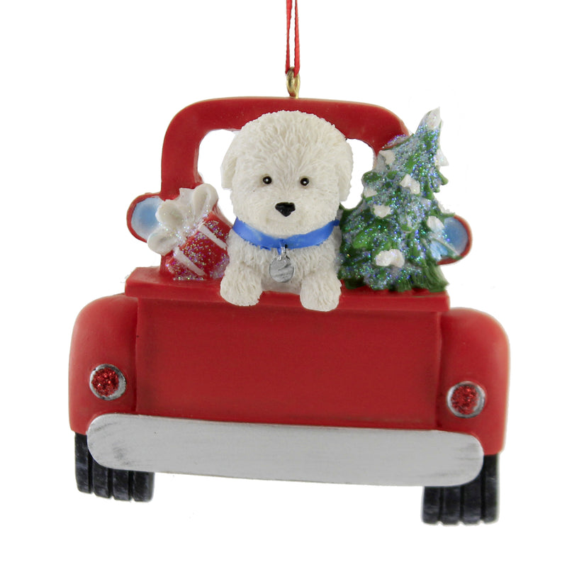 BICHON FRISE