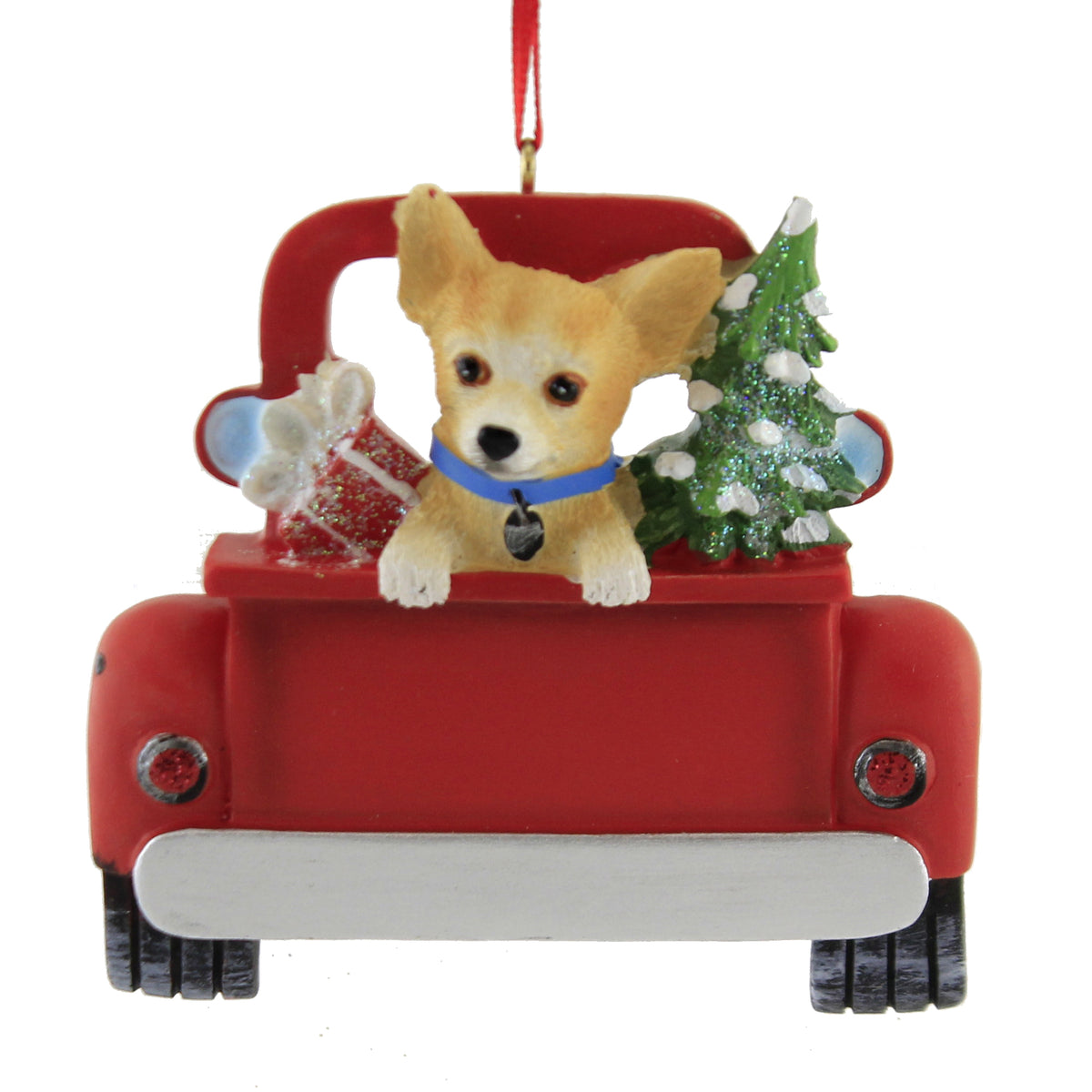 CHIHUAHUA