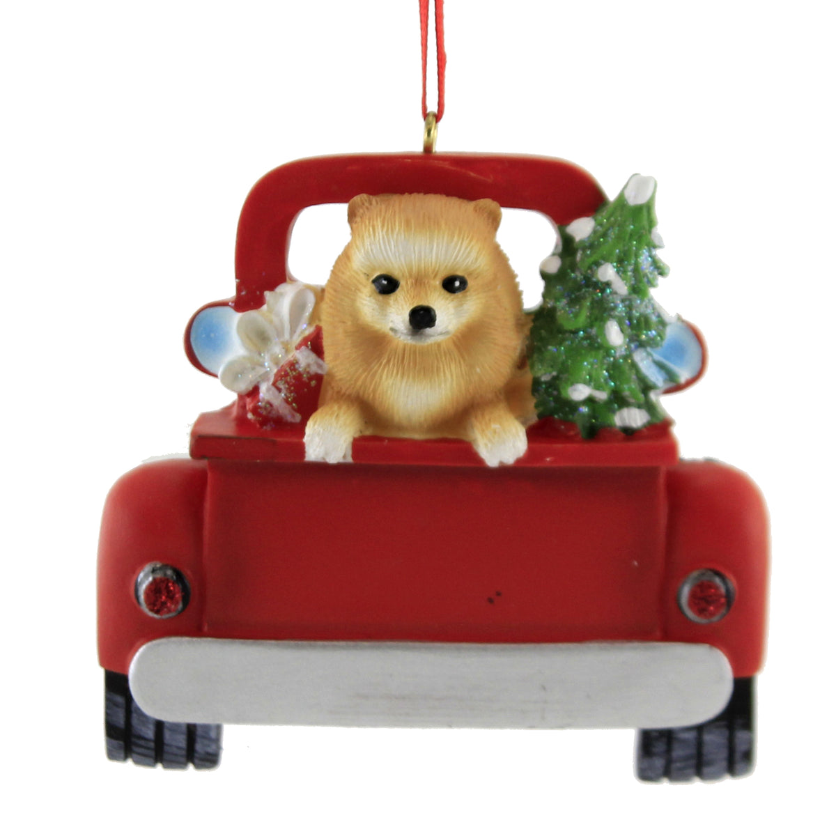POMERANIAN