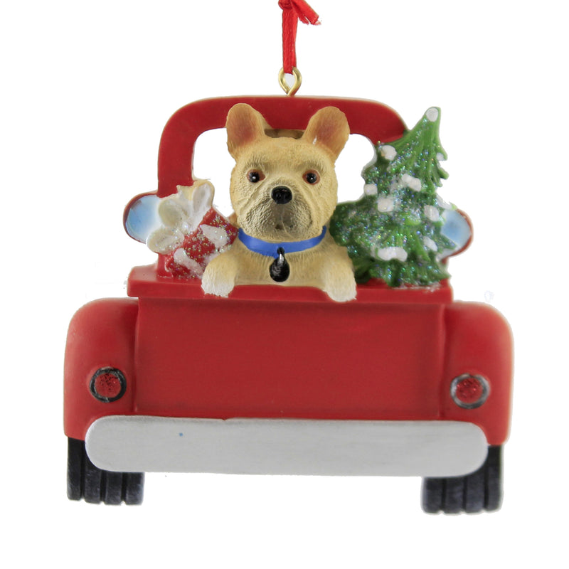 FRENCH BULLDOG