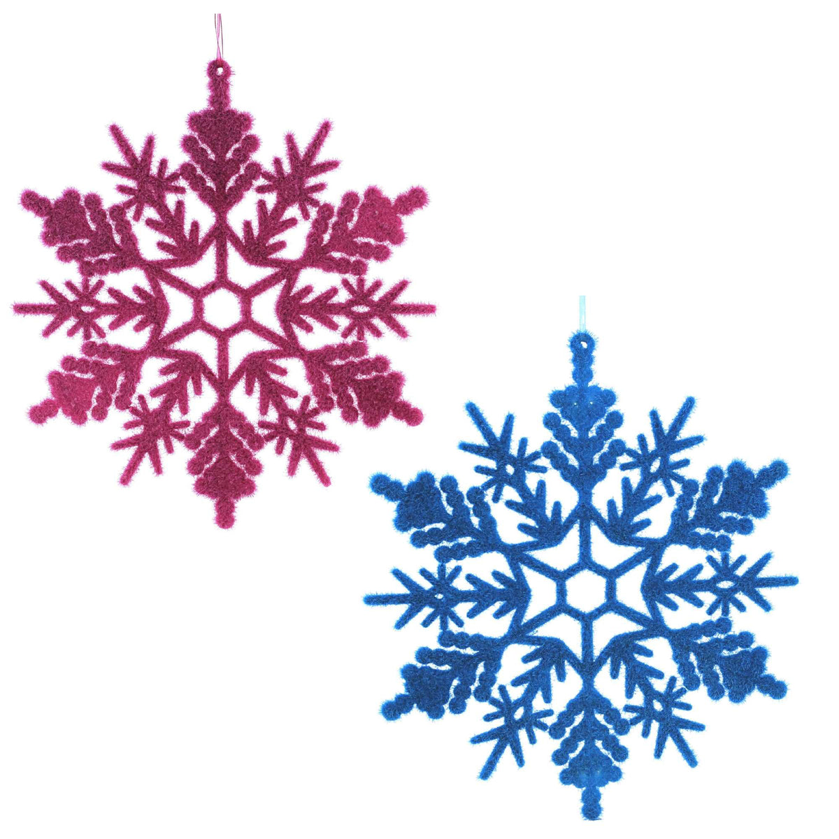 PURPLE/BLUE
