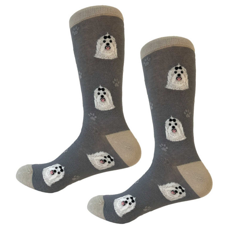 Maltese Socks Gray - One Pair Socks 15.25 Inch, Cotton - Premium Quality 80024Gray (57649)