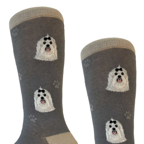 Novelty Socks Maltese Socks Gray - - SBKGifts.com