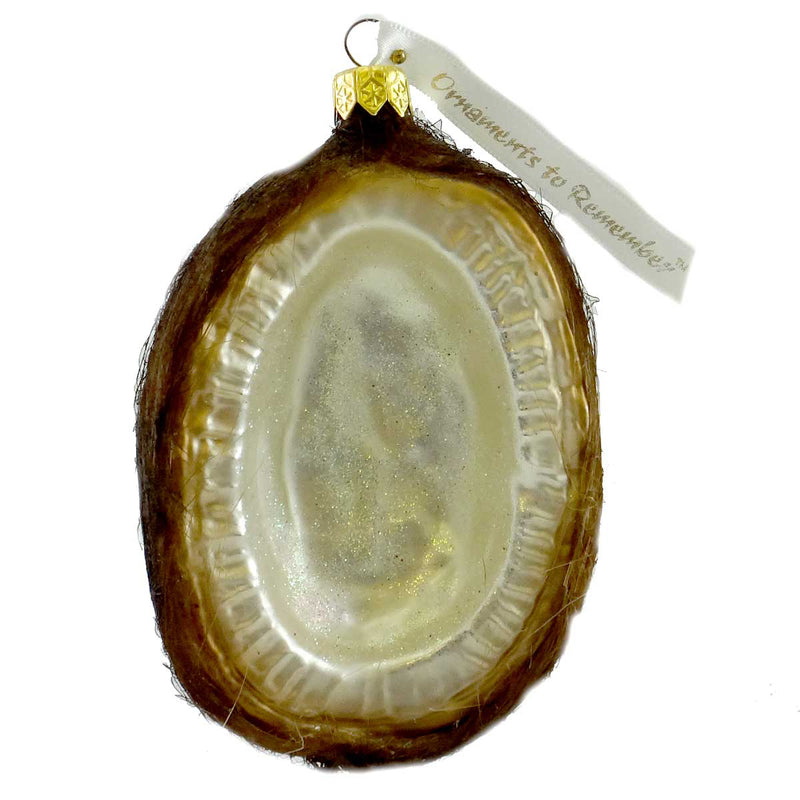 Ornaments To Remember Coconut Glass Fruit Vegetable Palm Tropical 18R2coco12 (5794)