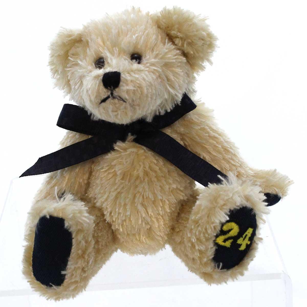 (5818) Jeff Gordon Lil Racin Fuzzie